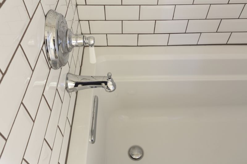 Elderly Bathroom Renovation detail